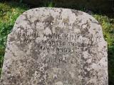 image of grave number 945898